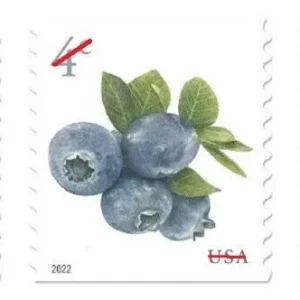 USA - 2022 Blue Berry Stamps MNH Coil Strip of 5 Stamps - #5652