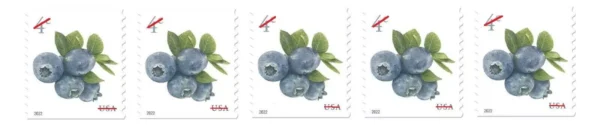 USA - 2022 Blue Berry Stamps MNH Coil Strip of 5 Stamps - #5652