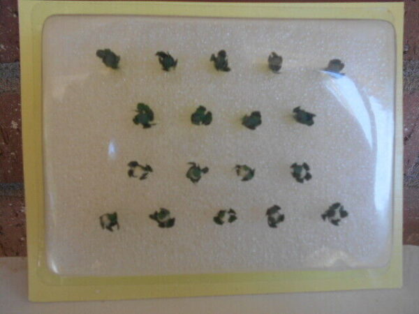 MP Scenery Products item # 70111 HO Scale BRoccoli & Cauliflowers 18 Pk - Image 4