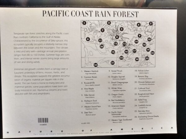 U.S. Stamp Mint Sheet, #3378, 33 cents, M/NH 10ct Pacific Coast Rain Forest - Image 2