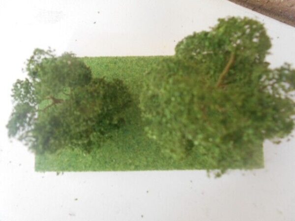 MP Scenery Products Item #70516 HO Scale Premiun Elm Trees 3'' to 4'' - Image 5