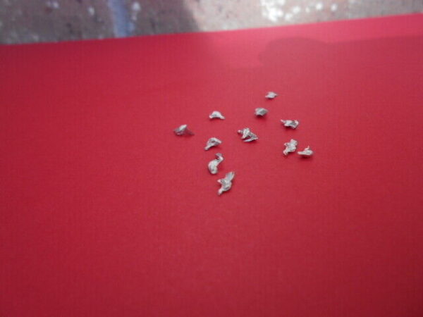 HO Scale Accessories Pigeons are small brids (10 Per Pack) #030 - Image 4
