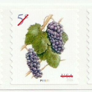 USA - 2017 Purple Grapes Stamps MNH Coil Strip of 5 Stamps - #5177