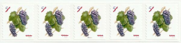 USA - 2017 Purple Grapes Stamps MNH Coil Strip of 5 Stamps - #5177