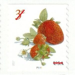 USA - 2017 Strawberry Stamps MNH Coil Strip of 5 Stamps - #5201
